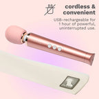 Le Wand Petite Rechargeable Vibrator