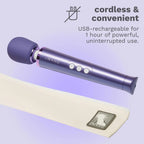 Le Wand Petite Rechargeable Vibrator