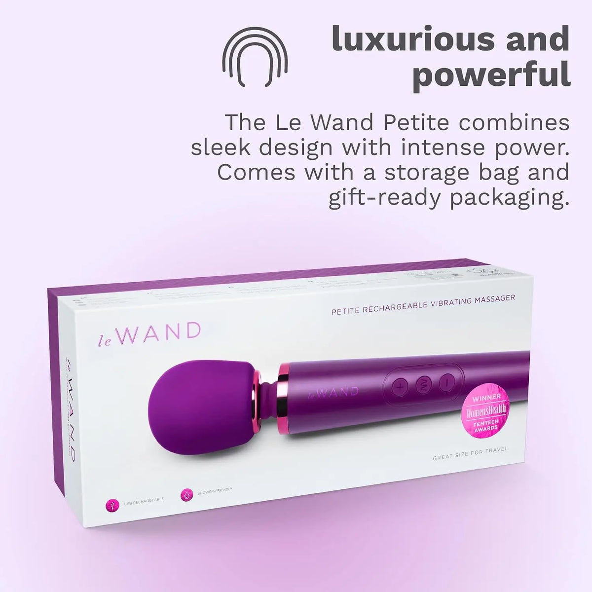 Le Wand Petite Rechargeable Vibrator