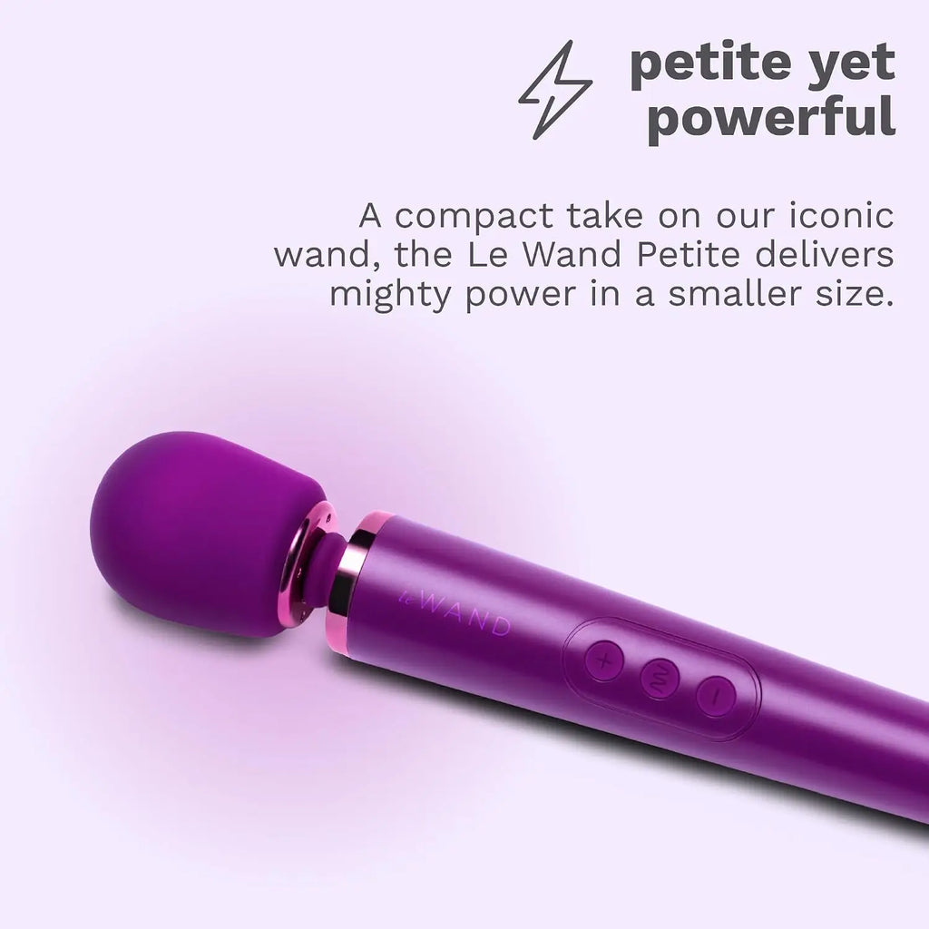 Le Wand Petite Rechargeable Vibrator