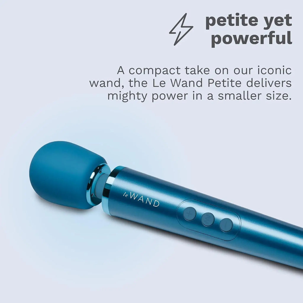 Le Wand Petite Rechargeable Vibrator