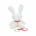 Leashed Velvet Rabbit Stuffed Animal - Rolik®