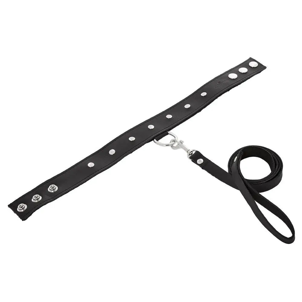 Leather Collar and Leash Set - Black - Restraints