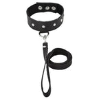 Leather Collar and Leash Set - Black - Restraints