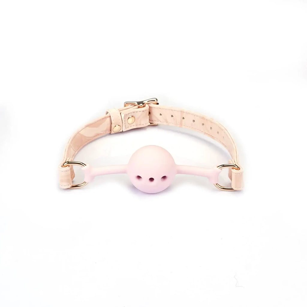 Pink Boudoir Amor Collection Vegan Leather & Silicone Bag Gag