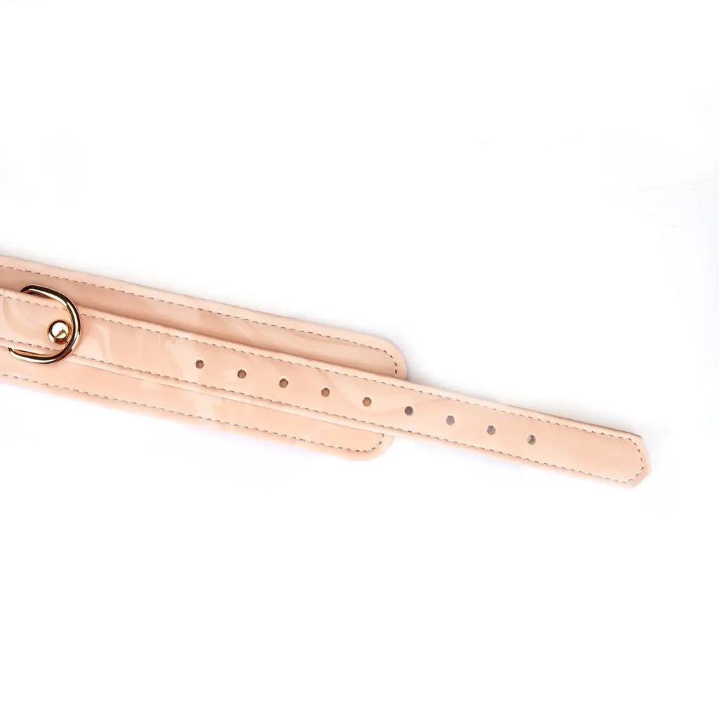 Boudoir Amor Collection Vegan Leather Collar with Leash