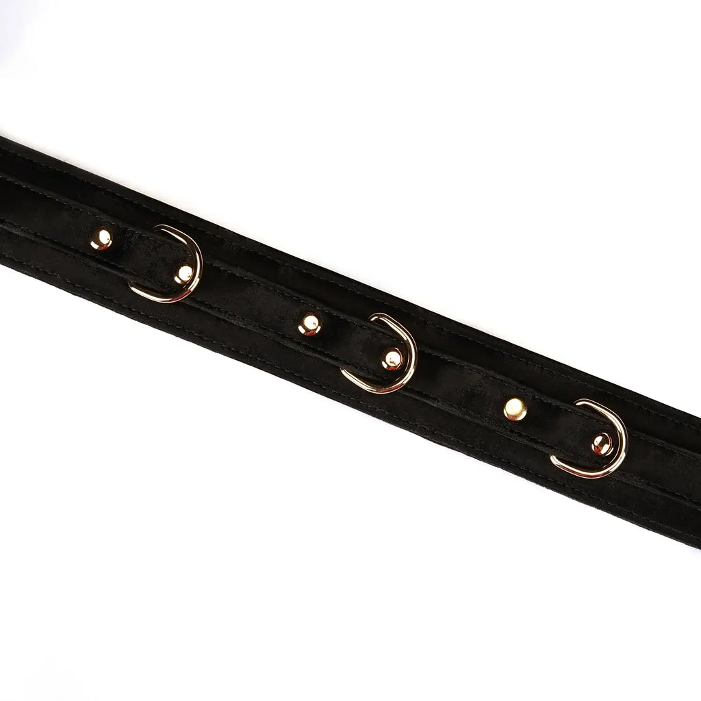 Boudoir Amor Collection Vegan Leather Collar with Leash