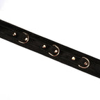 Boudoir Amor Collection Vegan Leather Collar with Leash