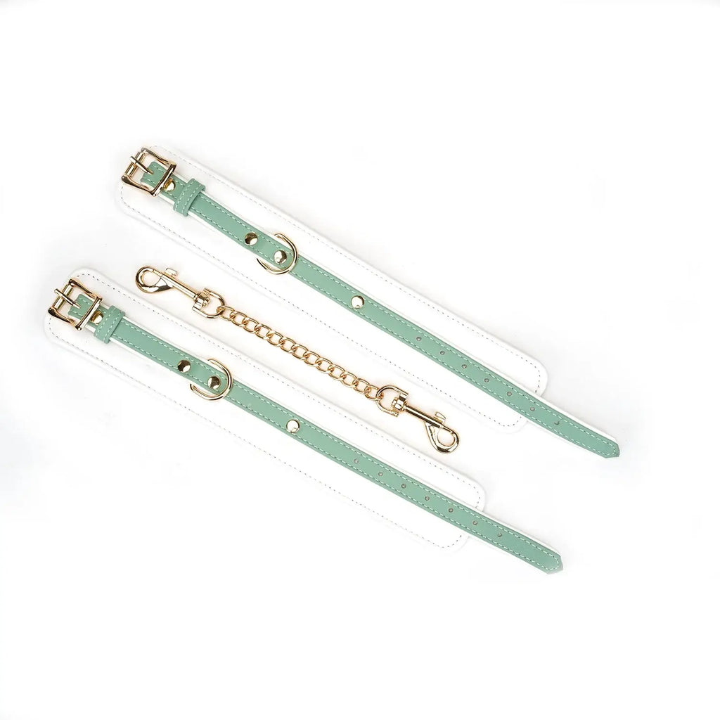 Fairy Collection Leather Ankle Cuffs - Restraints