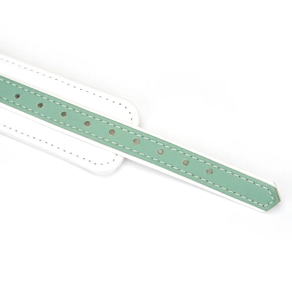 Fairy Collection Leather Collar with Leash - Restraints