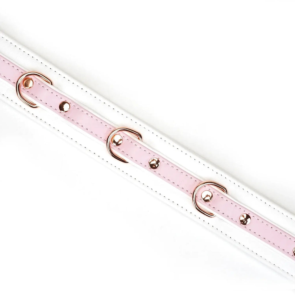 Fairy Collection Leather Collar with Leash - Restraints