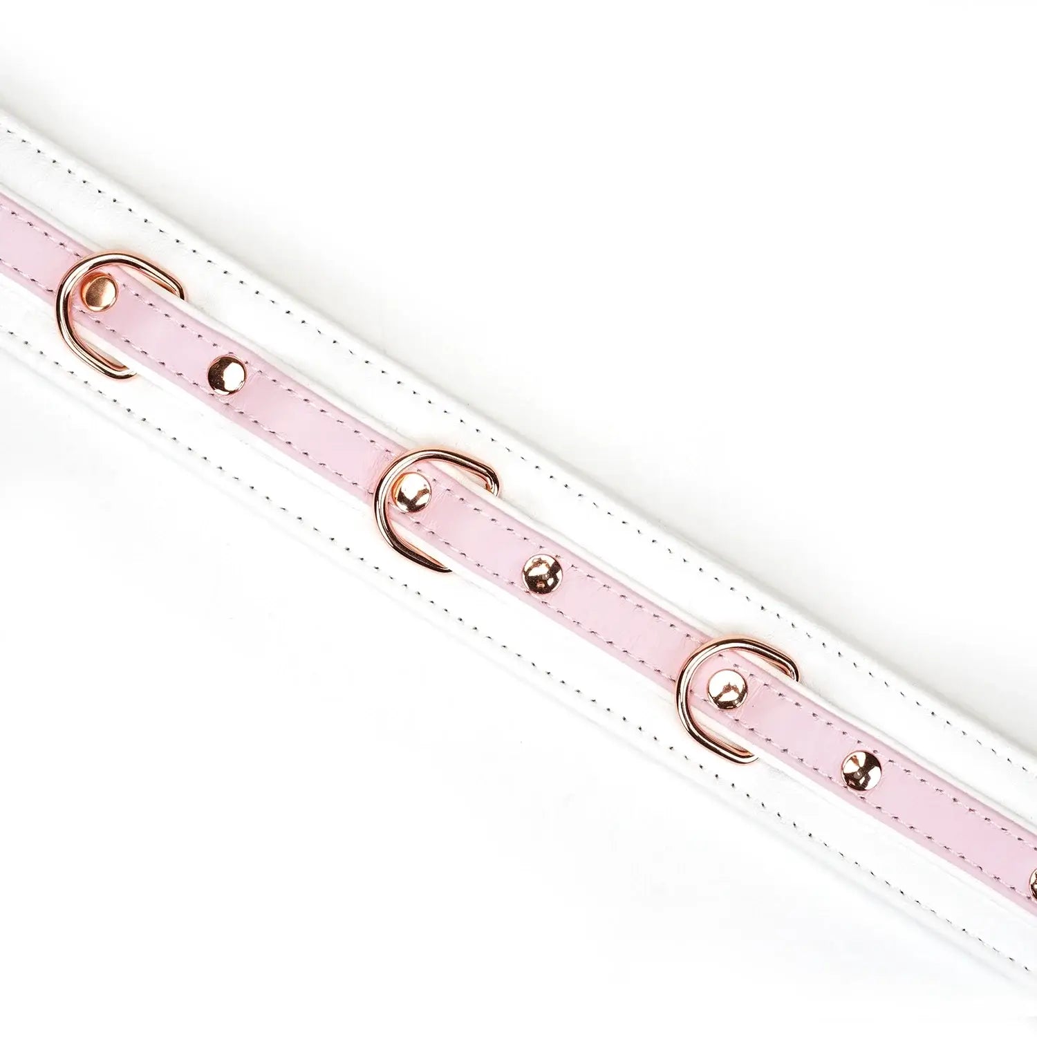 Fairy Collection Leather Collar with Leash - Restraints