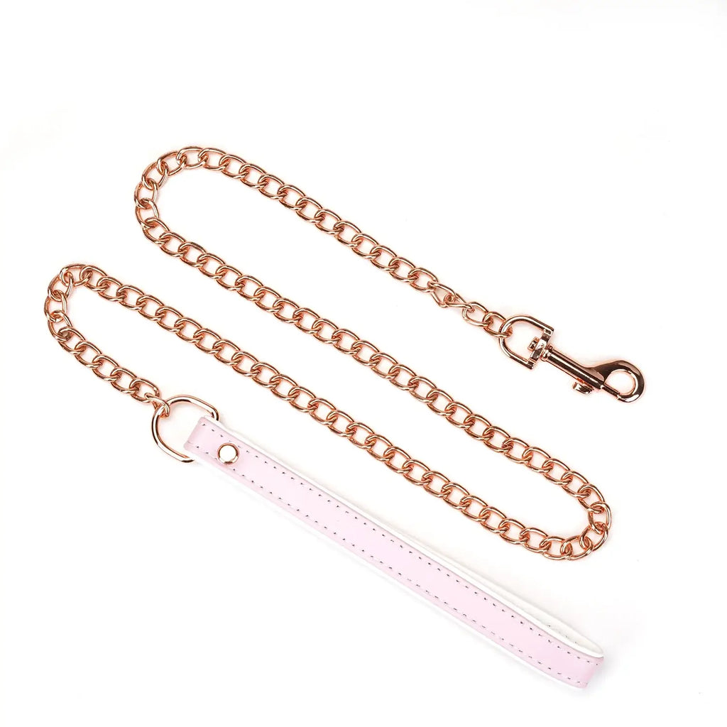 Fairy Collection Leather Collar with Leash - Restraints