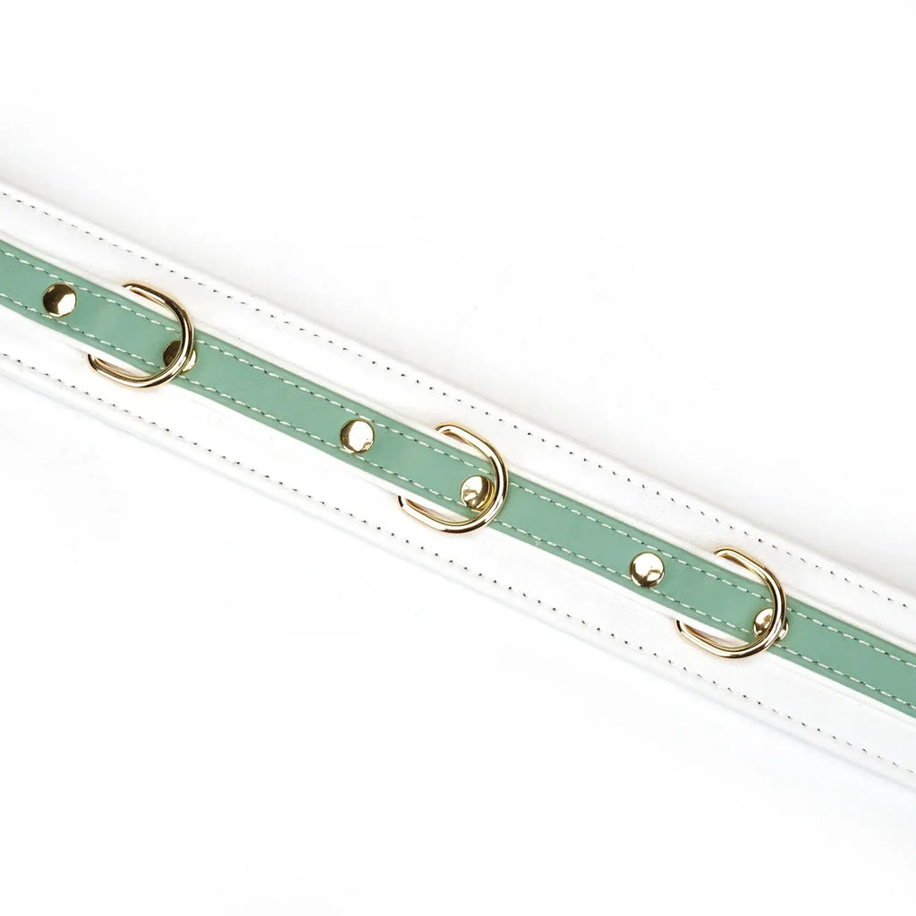 Fairy Collection Leather Collar with Leash - Restraints
