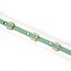 Fairy Collection Leather Collar with Leash - Restraints