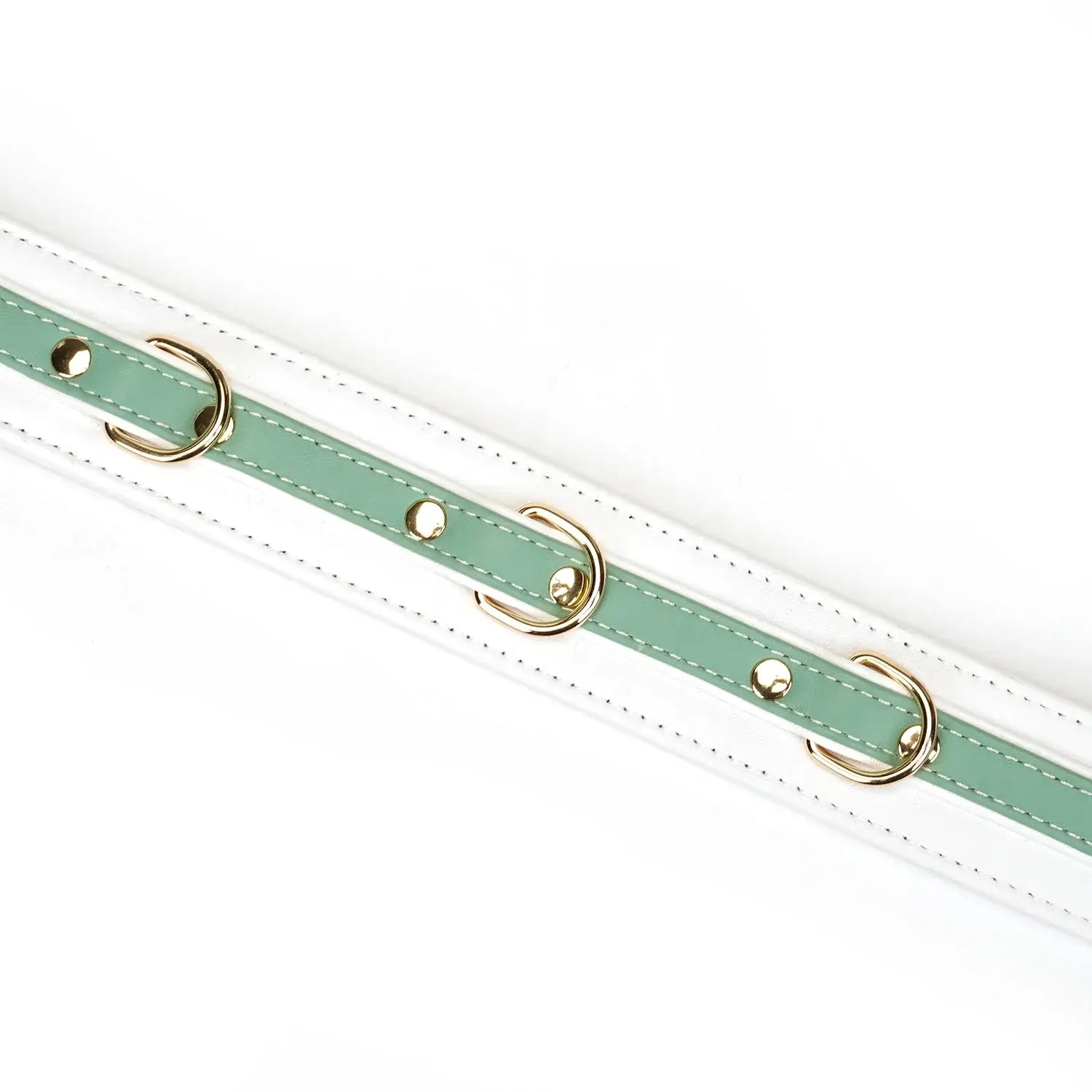 Fairy Collection Leather Collar with Leash - Restraints