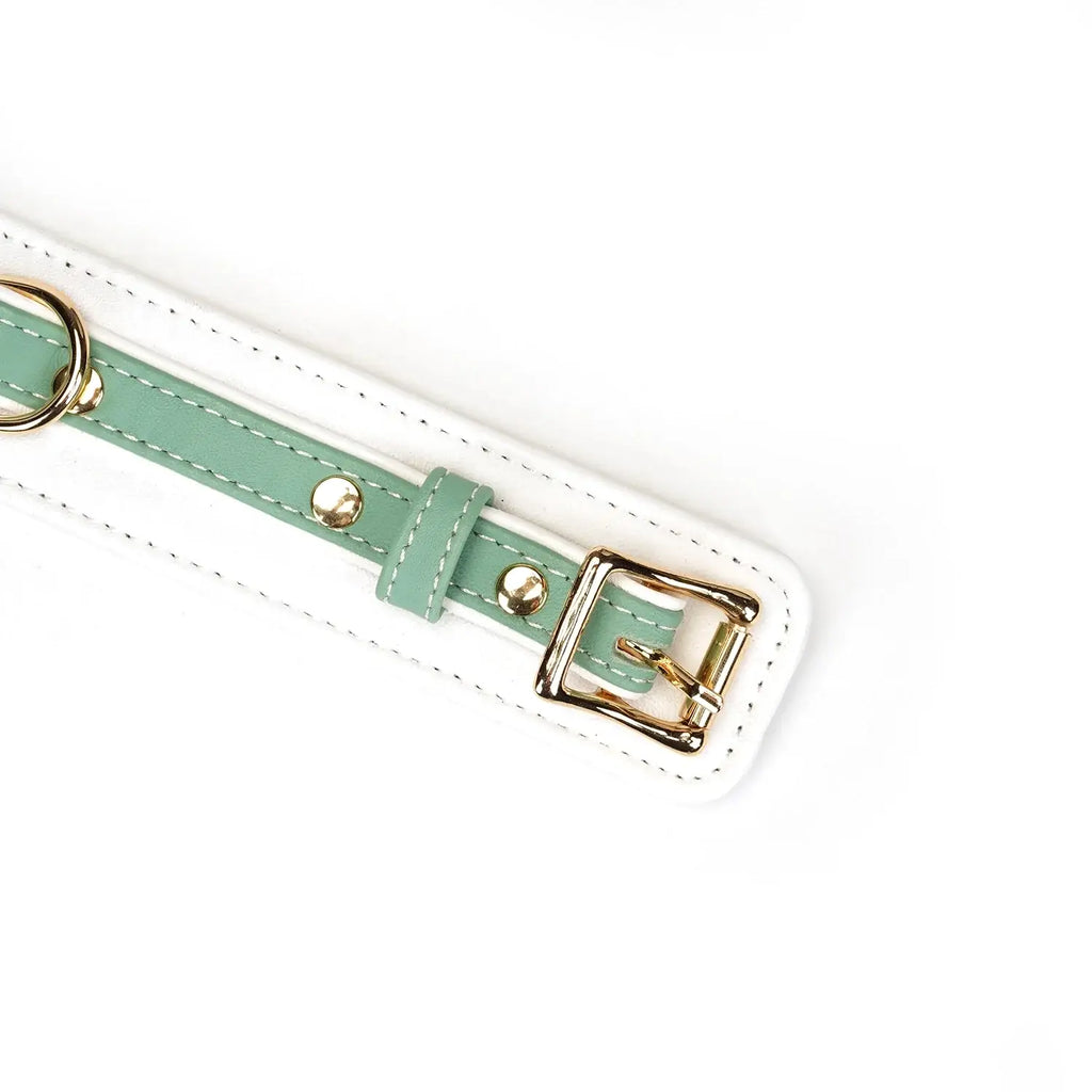 Fairy Collection Leather Collar with Leash - Restraints