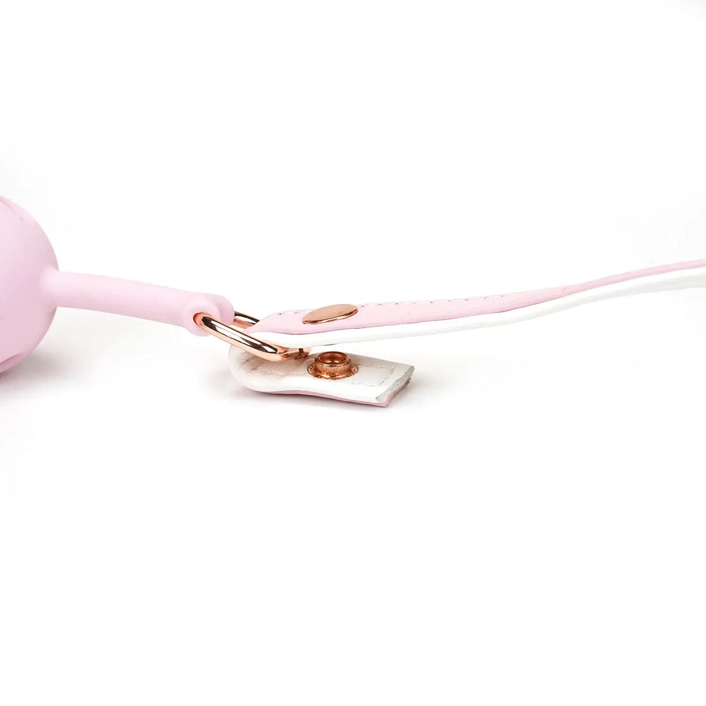 Fairy Collection Leather & Silicone Ball Gag - Gags