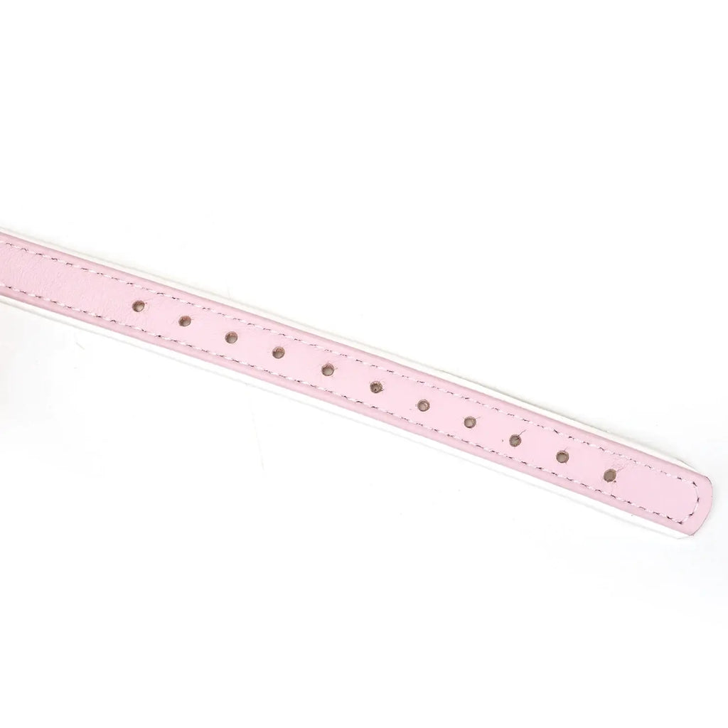 Fairy Collection Leather & Silicone Ball Gag - Gags