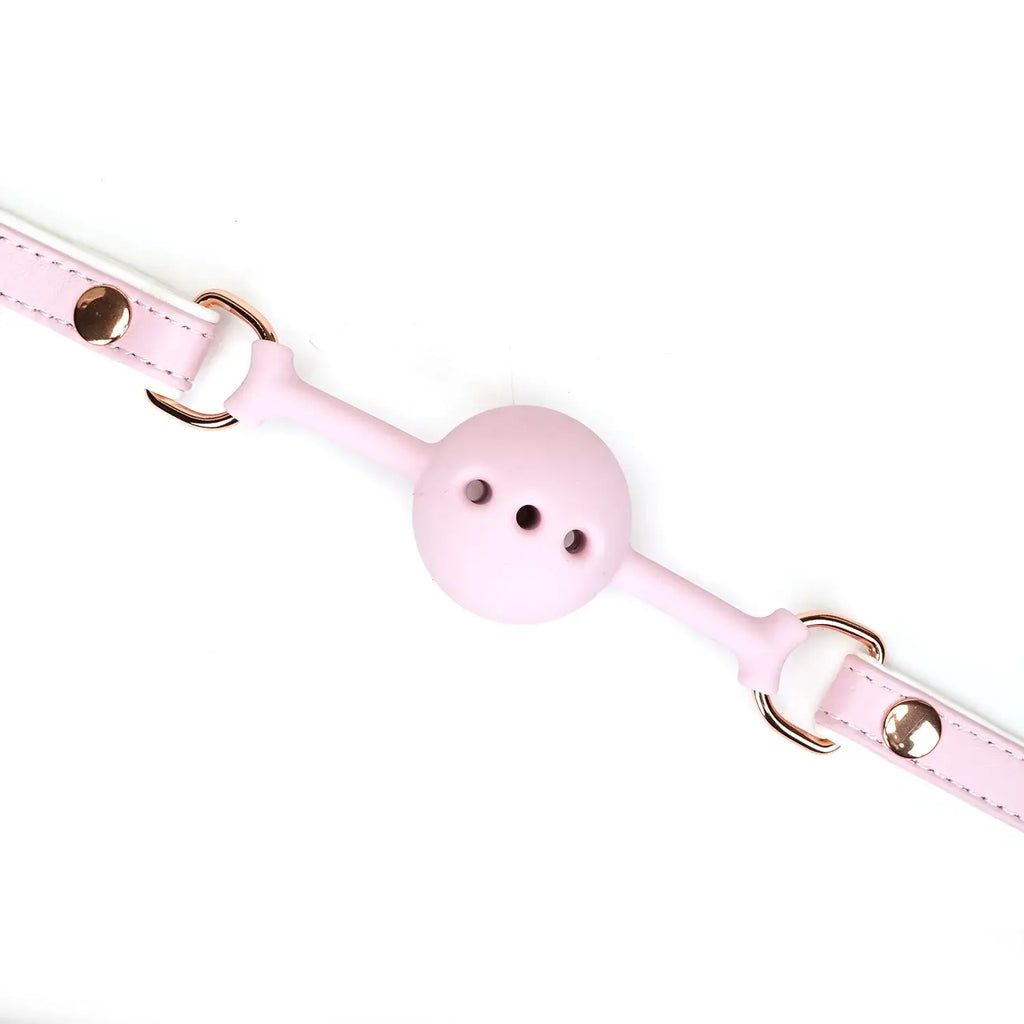 Fairy Collection Leather & Silicone Ball Gag - Gags