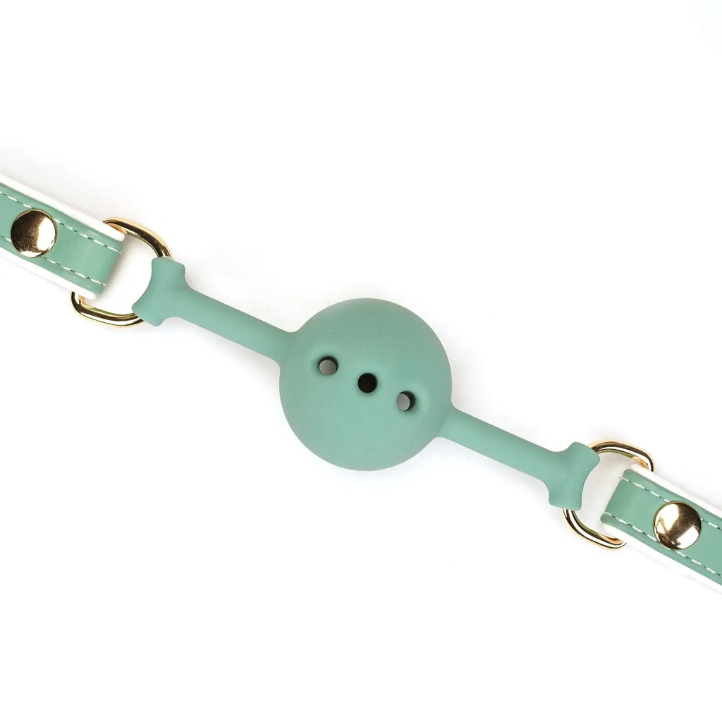 Fairy Collection Leather & Silicone Ball Gag - Gags