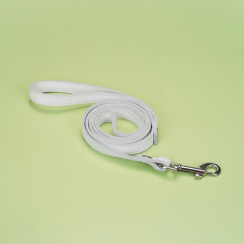 Fuji White Collection Leather Collar with Leash - Restraints