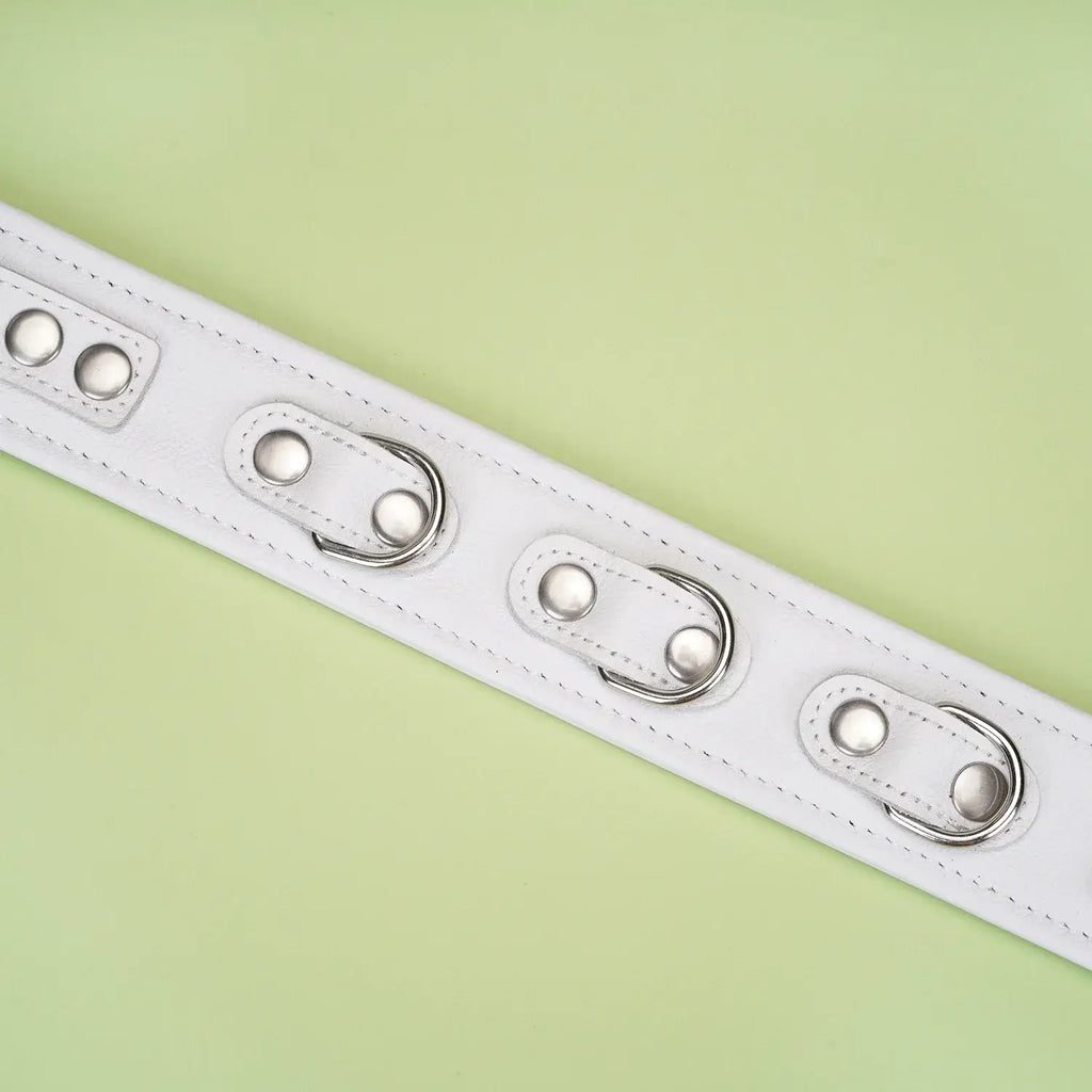 Fuji White Collection Leather Collar with Leash - Restraints