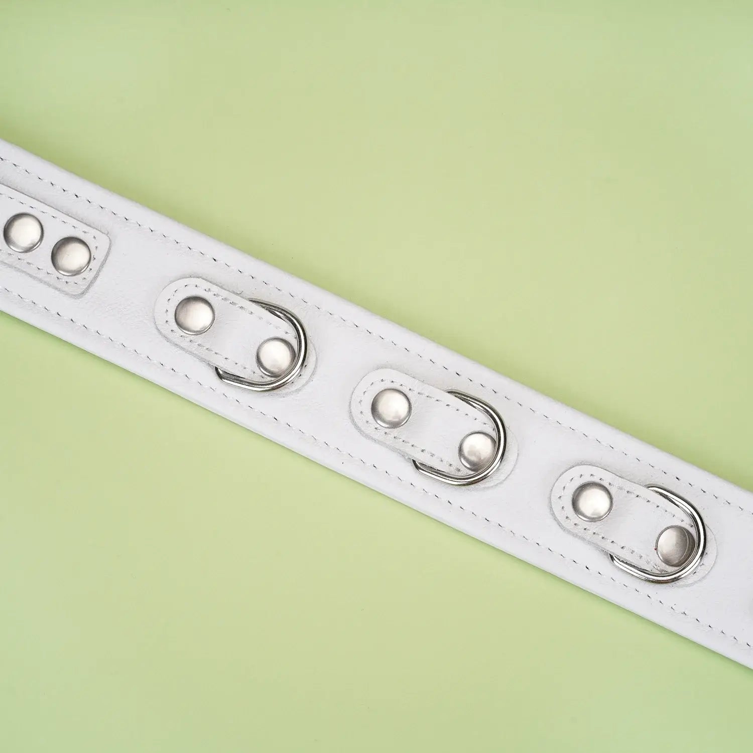 Fuji White Collection Leather Collar with Leash - Restraints