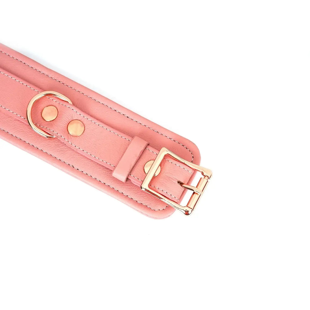 Pink Dream Collection Leather Ankle Cuffs - Restraints