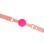 Pink Dream Collection Leather & Silicone Ball Gag - Gags
