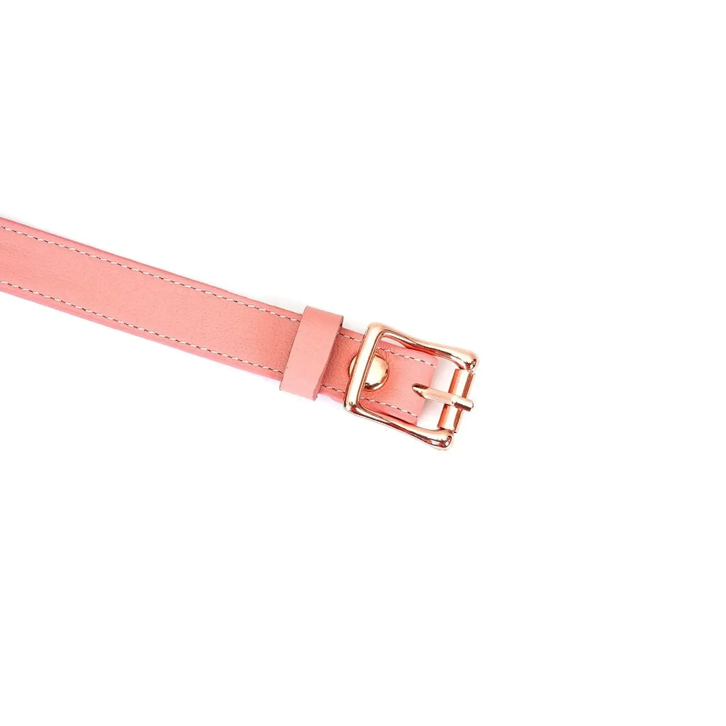 Pink Dream Collection Leather & Silicone Ball Gag - Gags