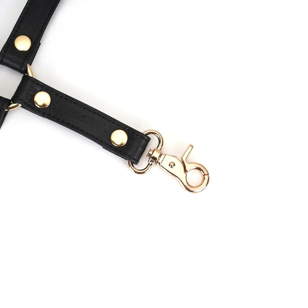 Dark Secret Collection Leather Hogtie - Black - Restraints