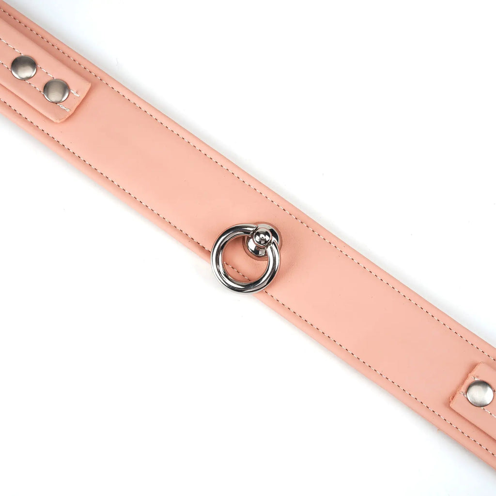 Dark Candy Vegan Leather Collar with Leash