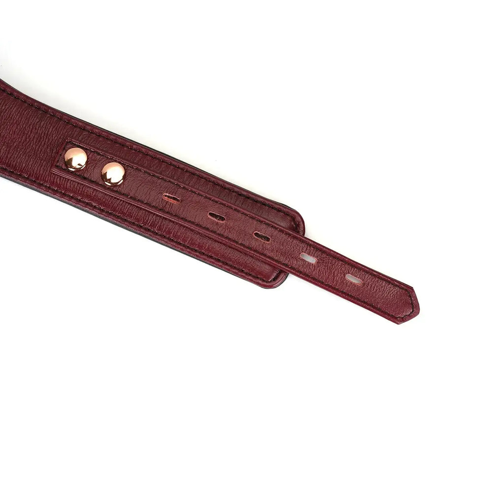 Wine Red Collection Leather Curved Collar with Leash & Lock - Burgundy - Restraints