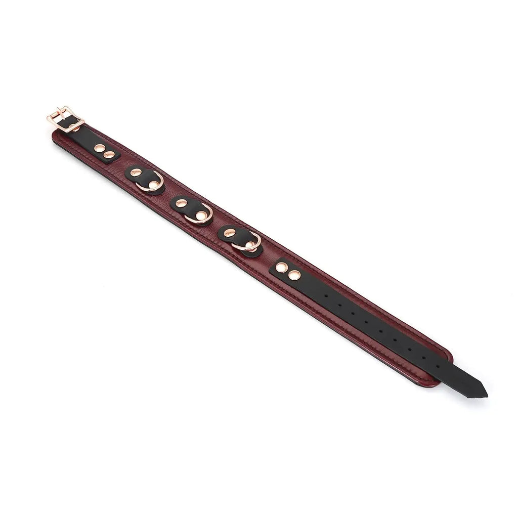 Wine Red Collection Leather Collar with Leash - Burgundy - Restraints