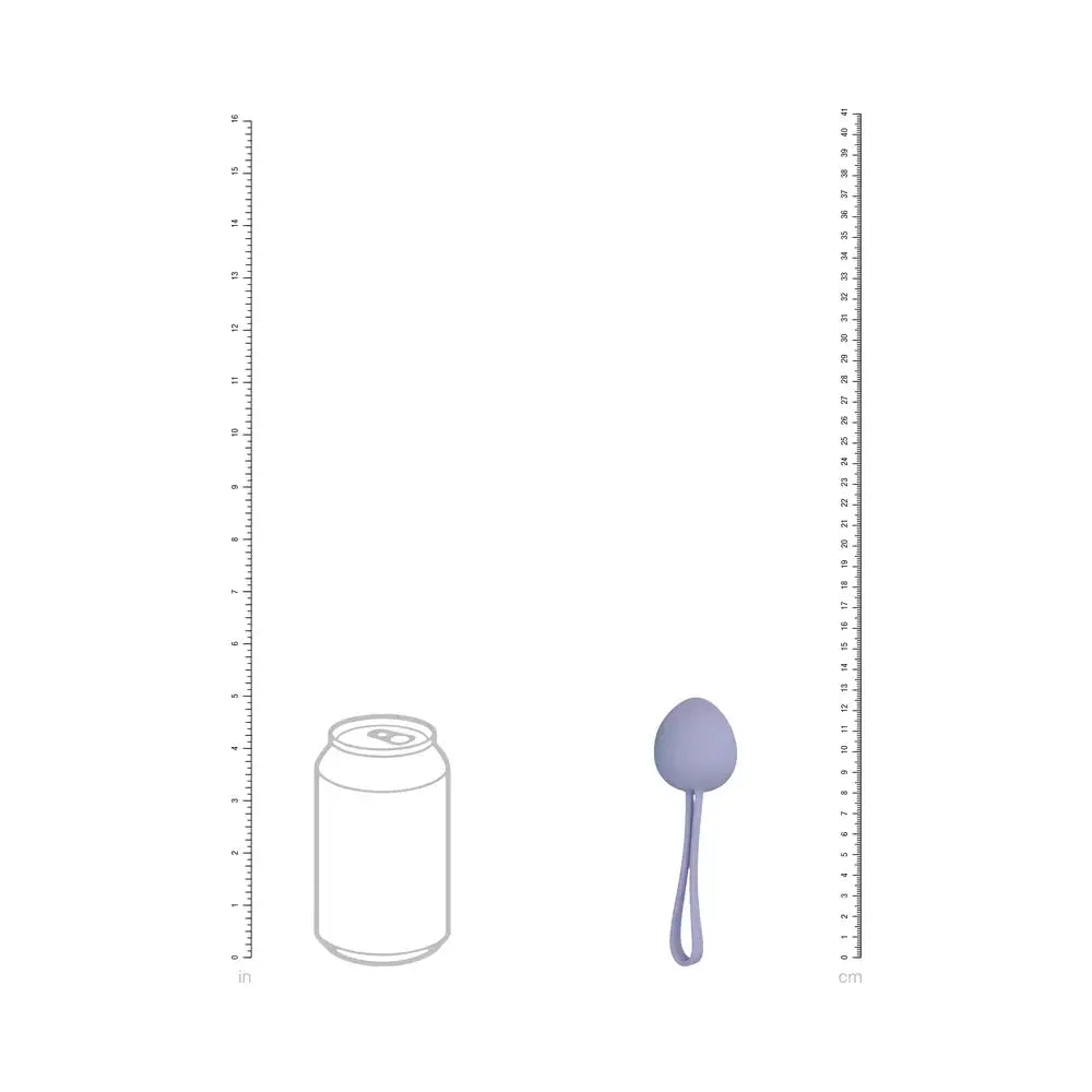 LoveLine PelviFit Berry 5 Weight Kegel Kit - Kegels