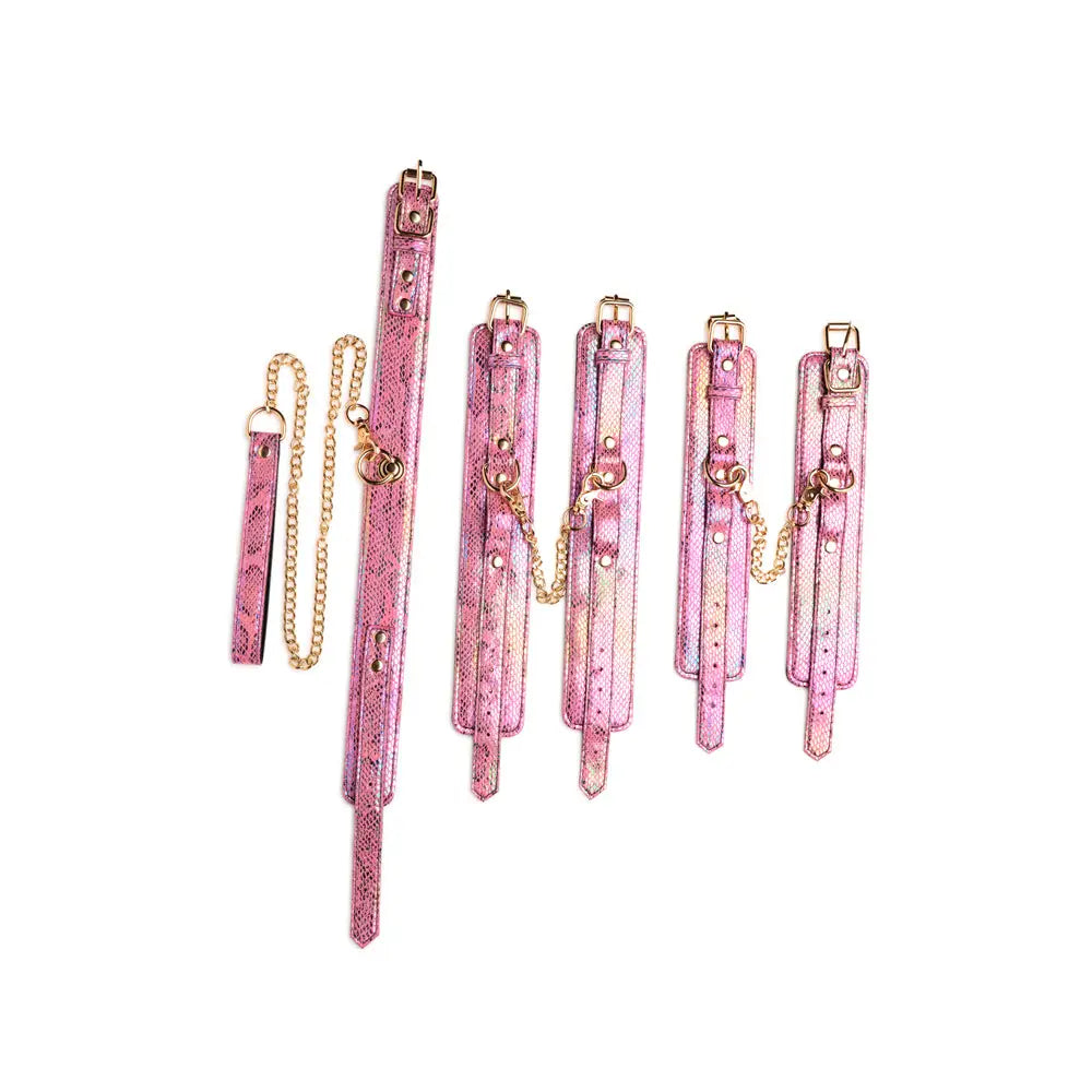 Master Series® Captive Cobra 6 Piece Bondage Set - Pink - Restraints