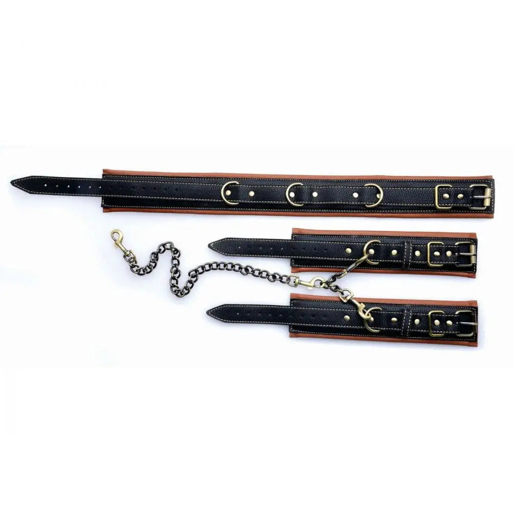 Master Series® Coax Collar to Wrist Restraints - Rolik®