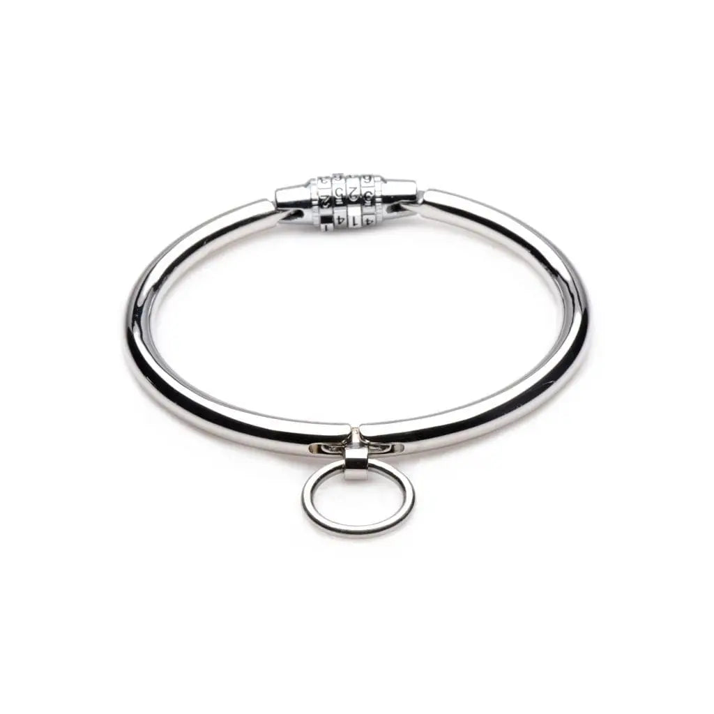 Master Series® Stainless Steel Combination Lock Collar - Rolik®