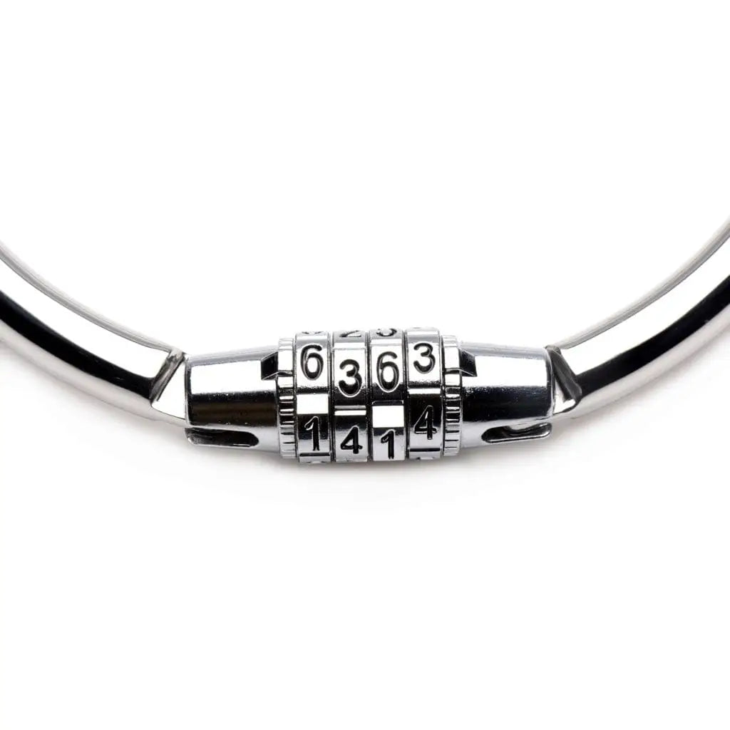Master Series® Stainless Steel Combination Lock Collar - Rolik®