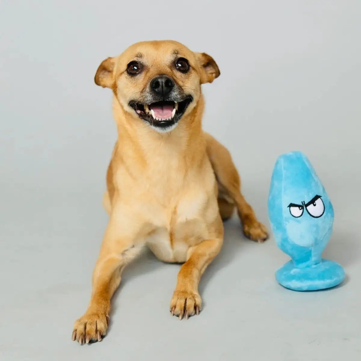 Mutt Plug McRuff Dog Toy - Rolik®