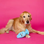 Mutt Plug McRuff Dog Toy - Rolik®