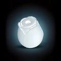 Inya The Rose Rechargeable Suction Vibrator - Glow in the Dark