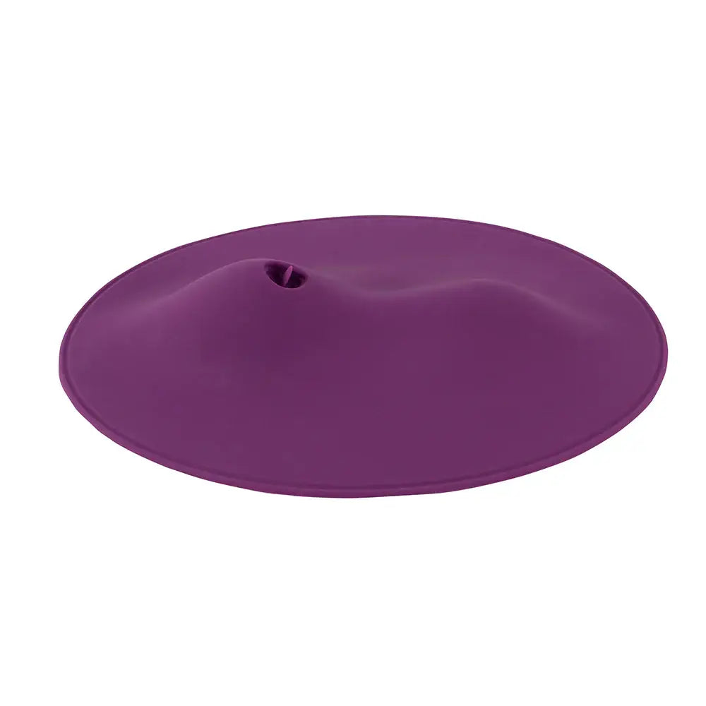 VibePad 2 with Remote - Purple - Vibrator