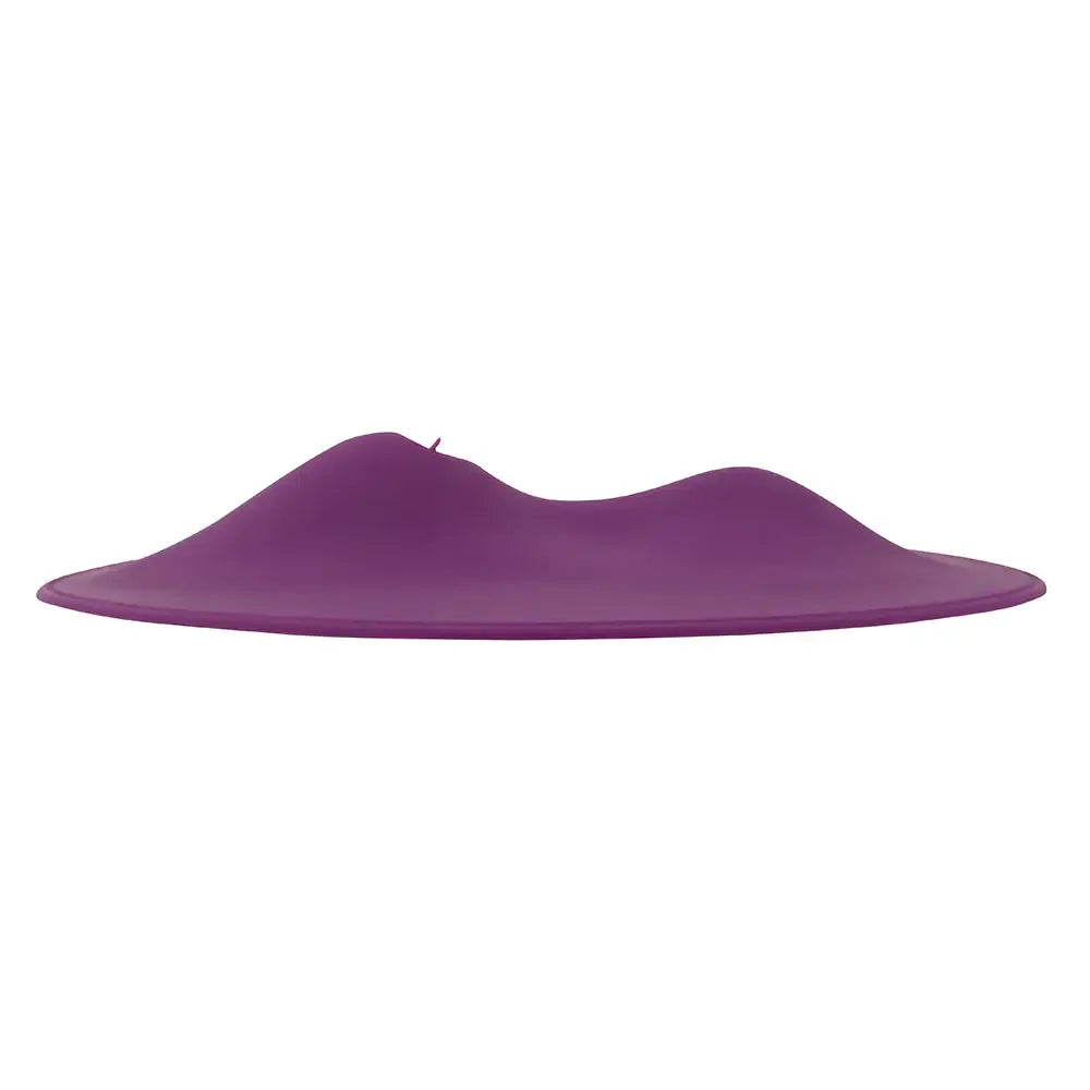 VibePad 2 with Remote - Purple - Vibrator