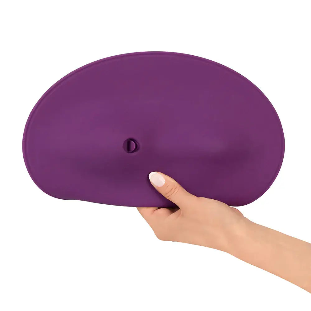 VibePad 2 with Remote - Purple - Vibrator