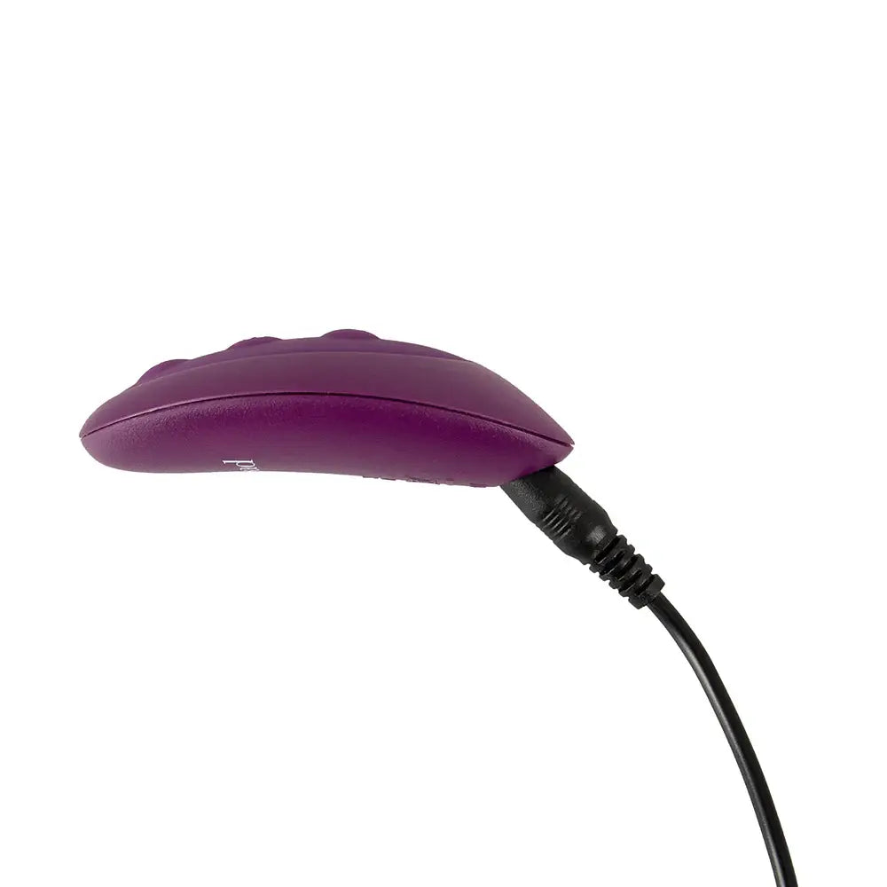 VibePad 2 with Remote - Purple - Vibrator