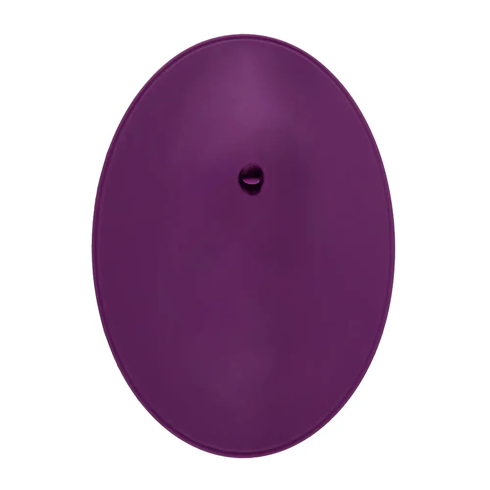 VibePad 2 with Remote - Purple - Vibrator