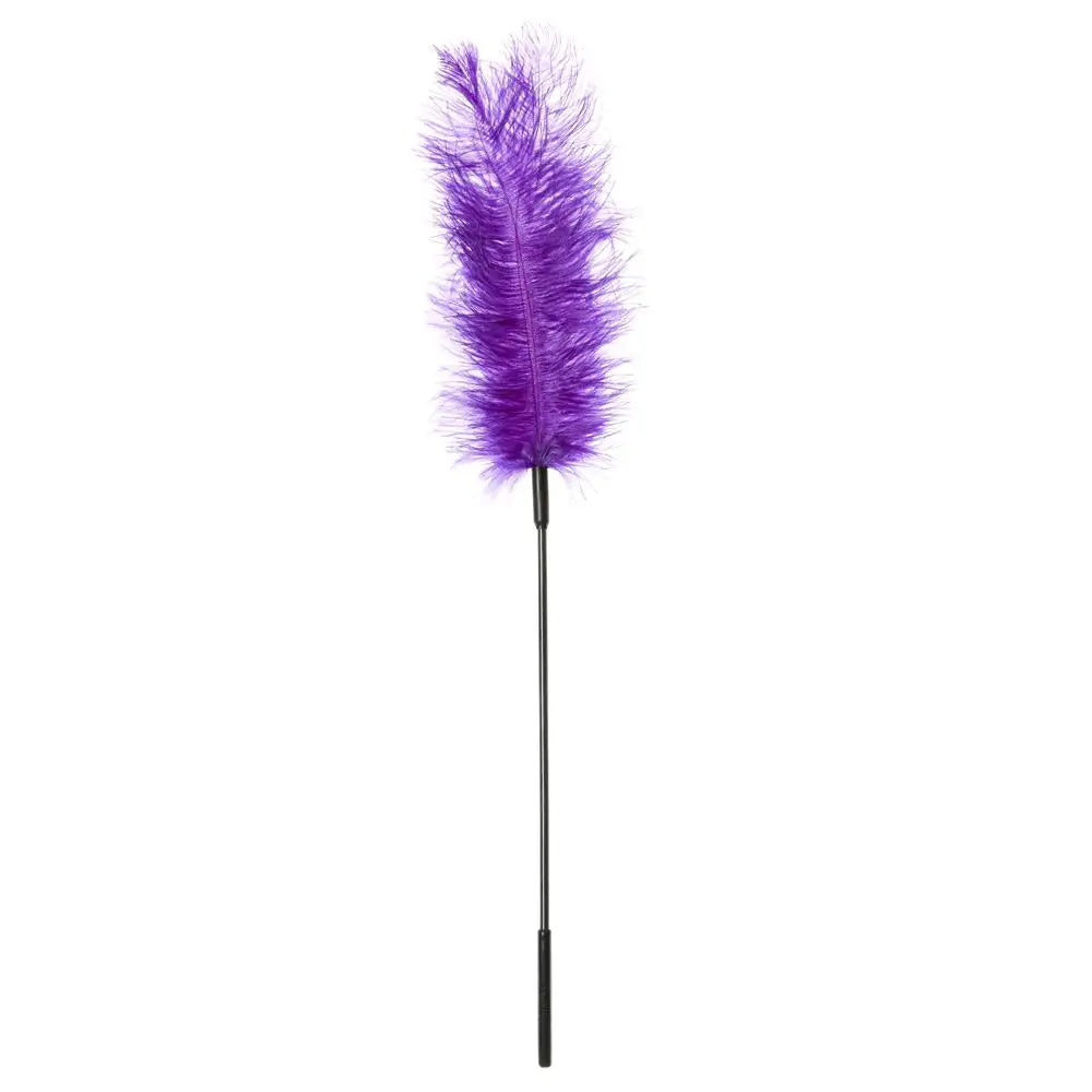 Ostrich Ticklers - Purple - Tickler