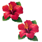 Pastease® Pastease Animal & Plant Collection Nipple Pasties - 10+ designs to choose from! Hibiscus